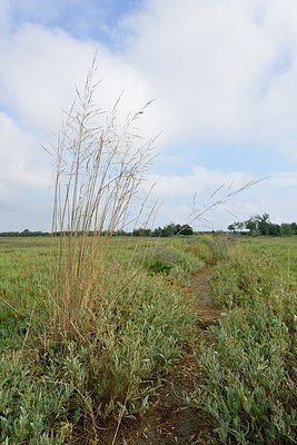 BUITEN BEELD Foto: 236885