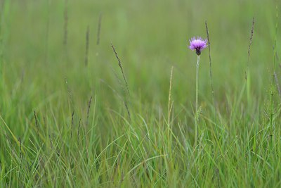 BUITEN BEELD Foto: 239621