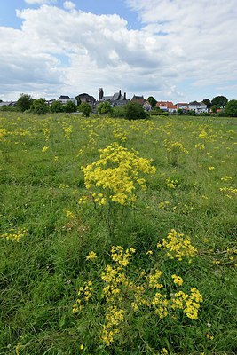 BUITEN BEELD Foto: 239806