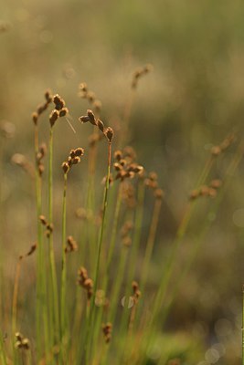 BUITEN BEELD Foto: 240586