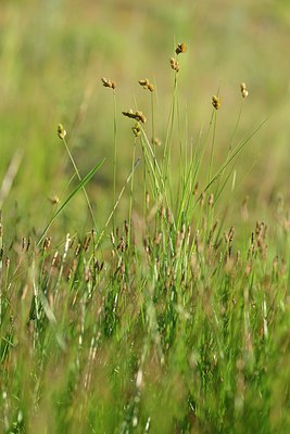 BUITEN BEELD Foto: 240607