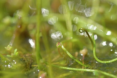 BUITEN BEELD Foto: 240675