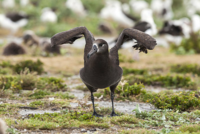 BUITEN BEELD Foto: 242840