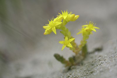 BUITEN BEELD Foto: 244661