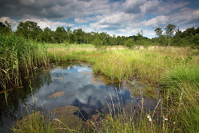 BUITEN BEELD Foto: 246338