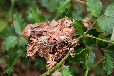 BUITEN BEELD Foto: 253413