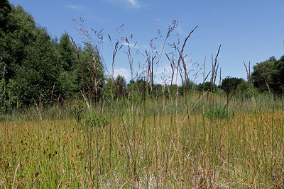 BUITEN BEELD Foto: 259568