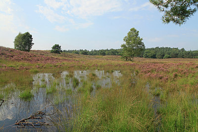 BUITEN BEELD Foto: 265850