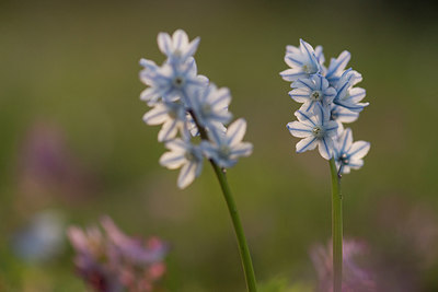 BUITEN BEELD Foto: 265880