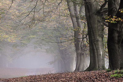 BUITEN BEELD Foto: 265951