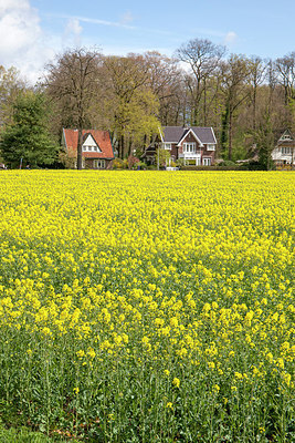 BUITEN BEELD Foto: 274482