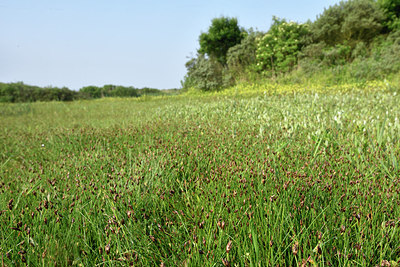 BUITEN BEELD Foto: 275408