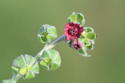 BUITEN BEELD Foto: 275435