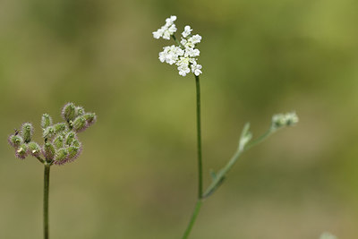 BUITEN BEELD Foto: 282488