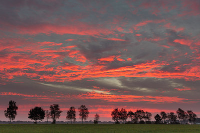 BUITEN BEELD Foto: 283171