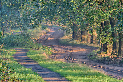 BUITEN BEELD Foto: 283859