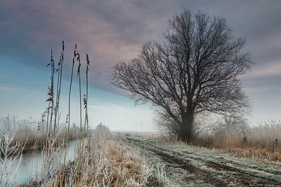 BUITEN BEELD Foto: 284052