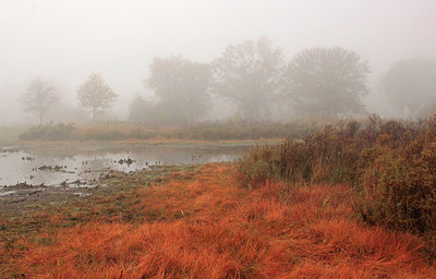 BUITEN BEELD Foto: 284086