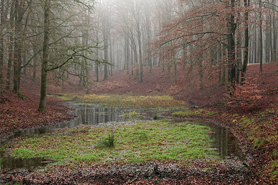 BUITEN BEELD Foto: 288631