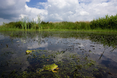 BUITEN BEELD Foto: 28383