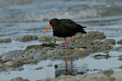 BUITEN BEELD Foto: 28461