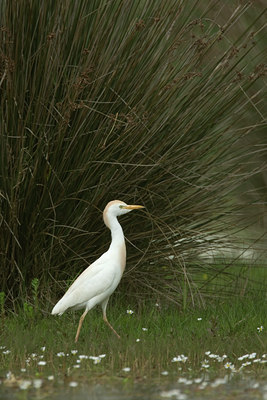 BUITEN BEELD Foto: 28525