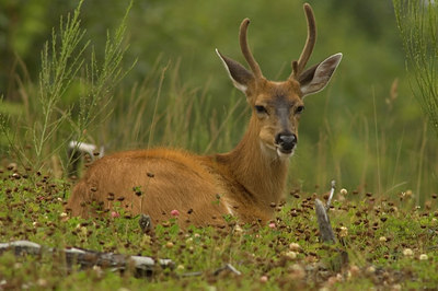 BUITEN BEELD Foto: 28565