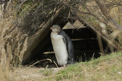 BUITEN BEELD Foto: 28734