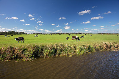 BUITEN BEELD Foto: 291066