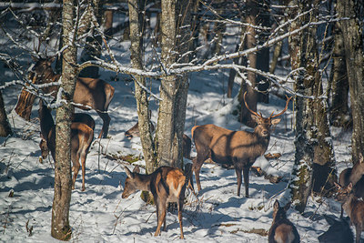 BUITEN BEELD Foto: 292367