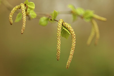 BUITEN BEELD Foto: 293093