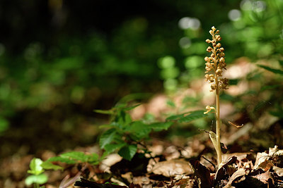 BUITEN BEELD Foto: 297986