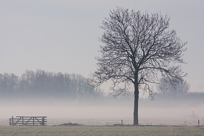 BUITEN BEELD Foto: 29144