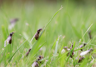 BUITEN BEELD Foto: 299554