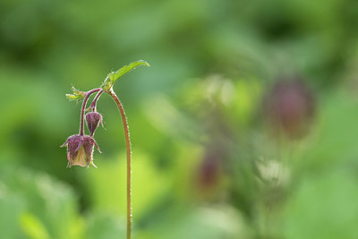 BUITEN BEELD Foto: 310365