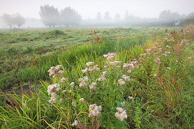 BUITEN BEELD Foto: 310879