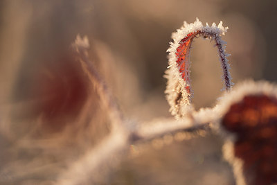 BUITEN BEELD Foto: 311163