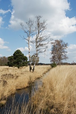 BUITEN BEELD Foto: 31656