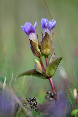 BUITEN BEELD Foto: 320662