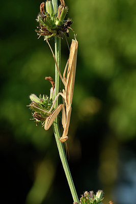 BUITEN BEELD Foto: 322600