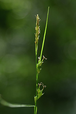 BUITEN BEELD Foto: 326062