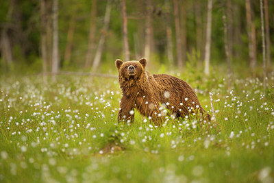 BUITEN BEELD Foto: 327460