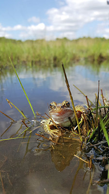 BUITEN BEELD Foto: 328076