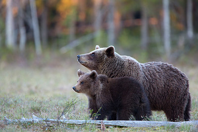 BUITEN BEELD Foto: 328393