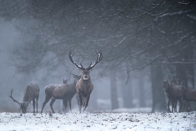 BUITEN BEELD Foto: 332347