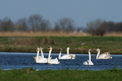 BUITEN BEELD Foto: 33093