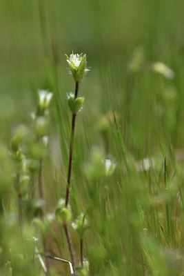 BUITEN BEELD Foto: 341840