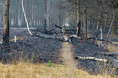 BUITEN BEELD Foto: 347978