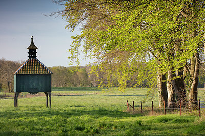 BUITEN BEELD Foto: 348868