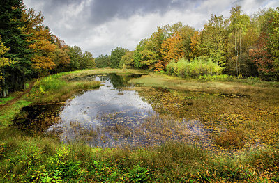 BUITEN BEELD Foto: 358315